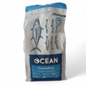 OCEAN CANTABRIC
